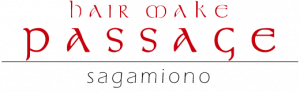 相模大野にある美容室（美容院）・アイラッシュサロン「ヘアメイク　パッセージ（passage）相模大野店」のフッターロゴ
